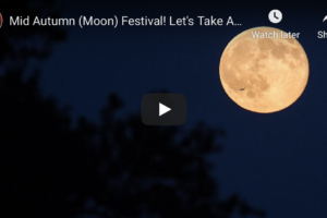 Mid Autumn (Moon) Festival! Let’s Take A Tour Of The Moon!